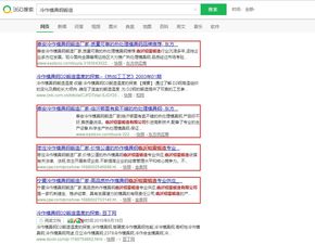 山东鼎基信息技术 赋能临沂企业数字化发展的综合服务专家